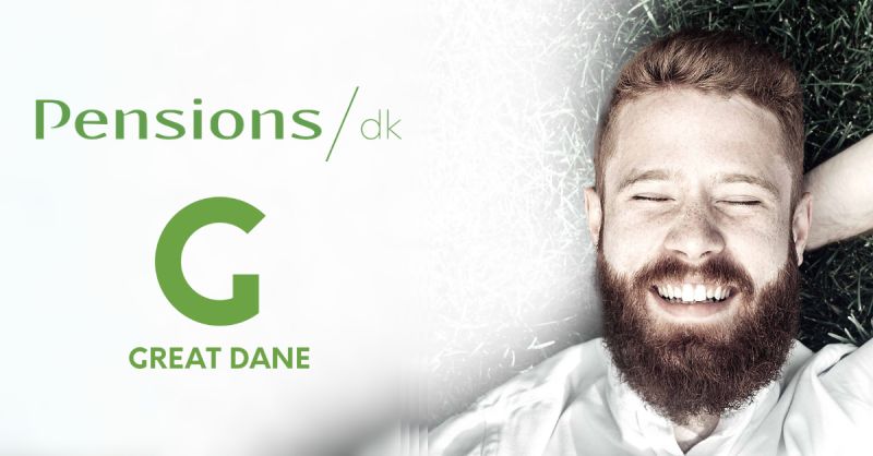 Beskrivelse af LinkedIn opslag