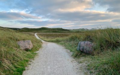 Grussti gennem klitlandskab med bakker og marehalm – sektion: Performance Fee