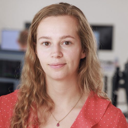 great dane invest sarah brams analytiker